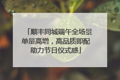 顺丰同城端午全场景单量高增，高品质即配助力节日仪式感