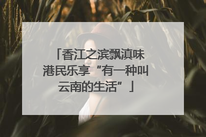 香江之滨飘滇味 港民乐享“有一种叫云南的生活”