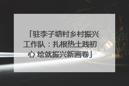 驻李子塘村乡村振兴工作队：扎根热土践初心 绘就振兴新画卷