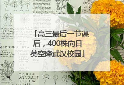 高三最后一节课后，400株向日葵空降武汉校园