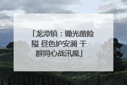 龙潭镇：锄光凿险隘 昼色护安澜 干群同心战汛魔