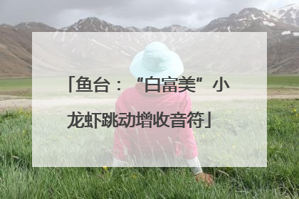 鱼台：“白富美”小龙虾跳动增收音符