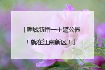 鲤城新增一主题公园！就在江南新区！
