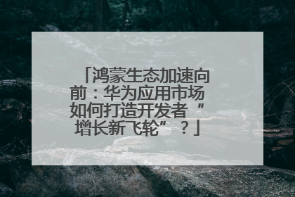 鸿蒙生态加速向前：华为应用市场如何打造开发者“增长新飞轮”？