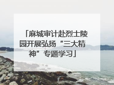 麻城审计赴烈士陵园开展弘扬“三大精神”专题学习
