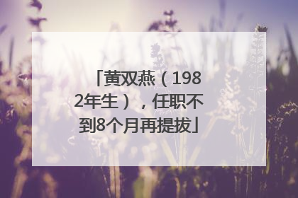 黄双燕（1982年生），任职不到8个月再提拔