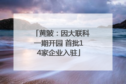 黄陂：因大联科一期开园 首批14家企业入驻
