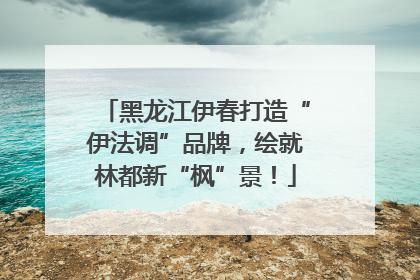 黑龙江伊春打造“伊法调”品牌，绘就林都新“枫”景！