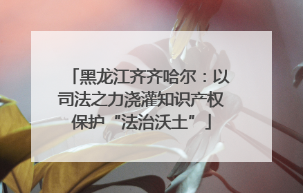 黑龙江齐齐哈尔：以司法之力浇灌知识产权保护“法治沃土”