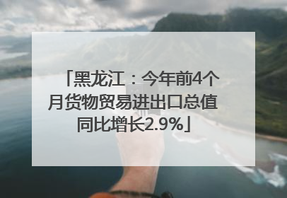 黑龙江：今年前4个月货物贸易进出口总值同比增长2.9%