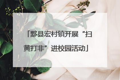 黟县宏村镇开展“扫黄打非”进校园活动