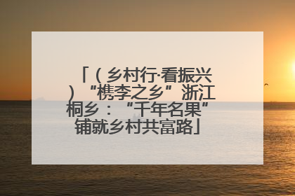 （乡村行·看振兴）“槜李之乡”浙江桐乡：“千年名果”铺就乡村共富路