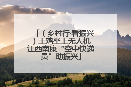 （乡村行·看振兴）土鸡坐上无人机 江西南康“空中快递员”助振兴