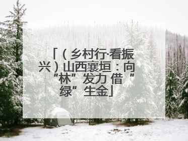 （乡村行·看振兴）山西襄垣：向“林”发力 借“绿”生金