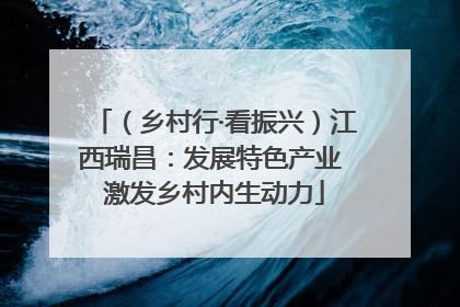 （乡村行·看振兴）江西瑞昌：发展特色产业 激发乡村内生动力
