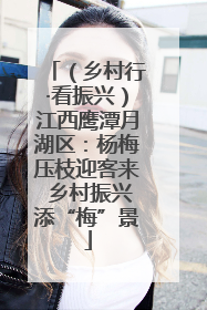 （乡村行·看振兴）江西鹰潭月湖区：杨梅压枝迎客来 乡村振兴添“梅”景
