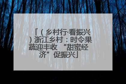 （乡村行·看振兴）浙江乡村：时令果蔬迎丰收 “甜蜜经济”促振兴