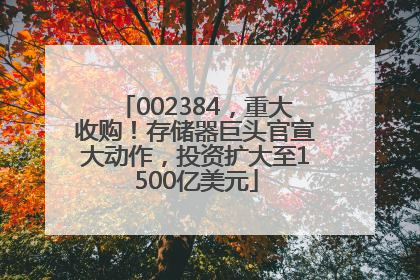 002384，重大收购！存储器巨头官宣大动作，投资扩大至1500亿美元