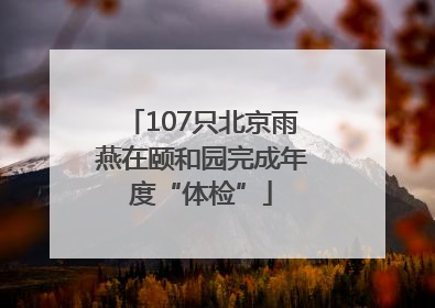 107只北京雨燕在颐和园完成年度“体检”