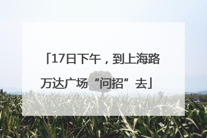 17日下午，到上海路万达广场“问招”去