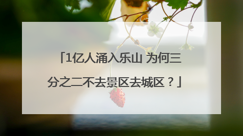 1亿人涌入乐山 为何三分之二不去景区去城区？