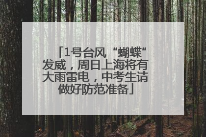 1号台风“蝴蝶”发威，周日上海将有大雨雷电，中考生请做好防范准备