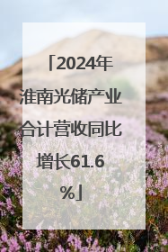 2024年淮南光储产业合计营收同比增长61.6%