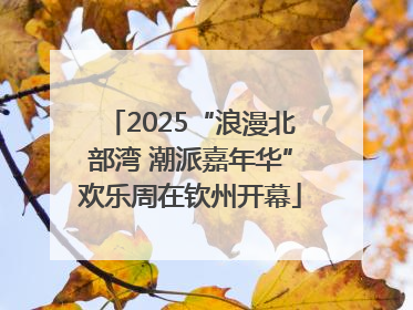 2025“浪漫北部湾 潮派嘉年华”欢乐周在钦州开幕