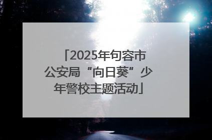 2025年句容市公安局“向日葵”少年警校主题活动