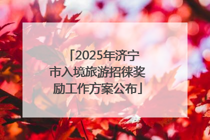 2025年济宁市入境旅游招徕奖励工作方案公布