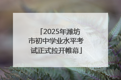 2025年潍坊市初中学业水平考试正式拉开帷幕