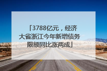 3788亿元，经济大省浙江今年新增债务限额同比涨两成