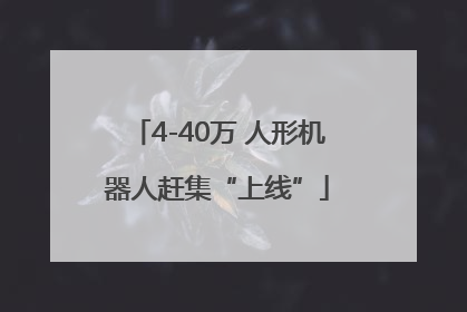 4-40万 人形机器人赶集“上线”