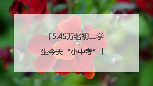 5.45万名初二学生今天“小中考”