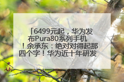 6499元起，华为发布Pura80系列手机！余承东：绝对对得起那四个字！华为近十年研发投入12490亿元