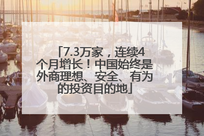 7.3万家，连续4个月增长！中国始终是外商理想、安全、有为的投资目的地