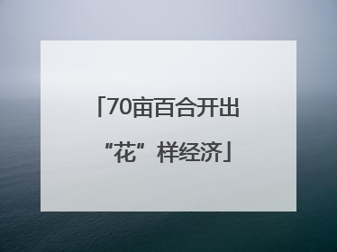 70亩百合开出“花”样经济