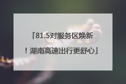81.5对服务区焕新！湖南高速出行更舒心