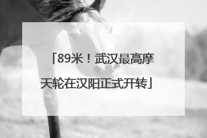 89米！武汉最高摩天轮在汉阳正式开转