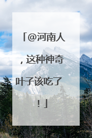 @河南人，这种神奇叶子该吃了！