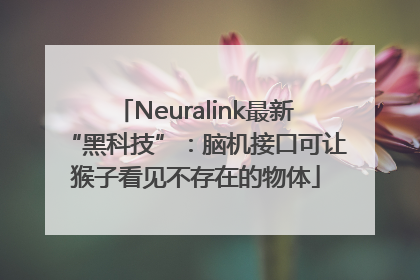 Neuralink最新“黑科技”：脑机接口可让猴子看见不存在的物体